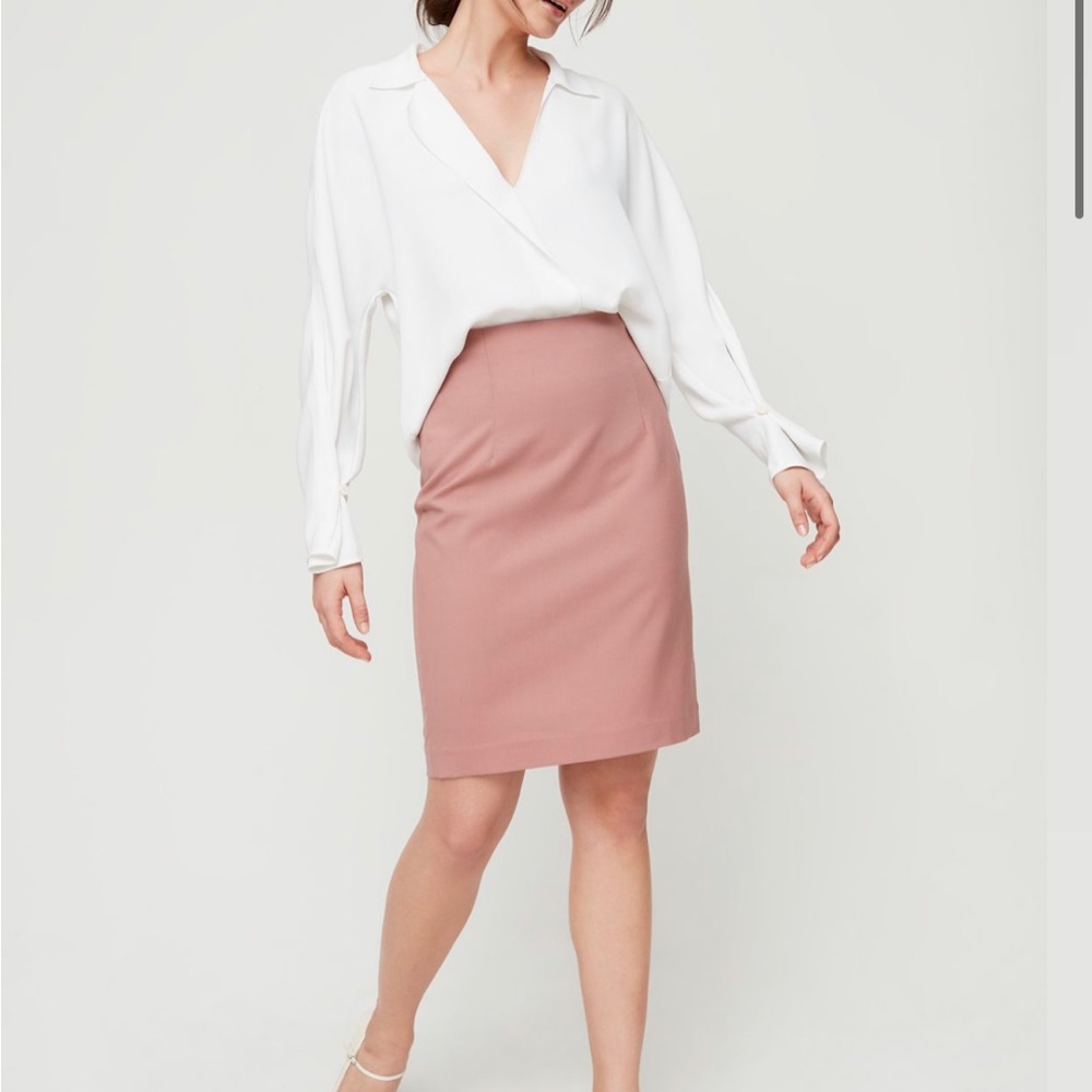 Babaton Walt pencil skirt sz 10